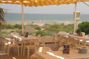 Auf der Terasse unseres Restaurants