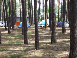 Campingplatz Neue Scheune