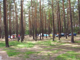 Campingplatz Neue Scheune