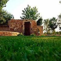 AGRICAMPEGGIO ZIO ZAC SALENTO
