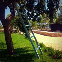 11745518_532215976934300_7729354989831994764_n.jpg Camping in Italien