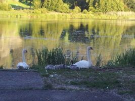Campingplatz Hasenmühle