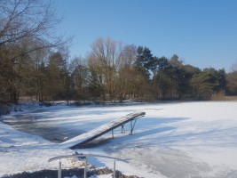 20180302_144513.jpg