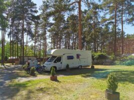 Waldcamping Am Großsee Waldcamping Am Großsee