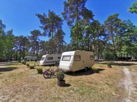 Waldcamping Am Großsee Waldcamping Am Großsee