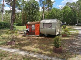Waldcamping Am Großsee Waldcamping Am Großsee