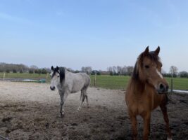 Bembom Hoeve