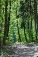Campingplatz Oberrabenstein