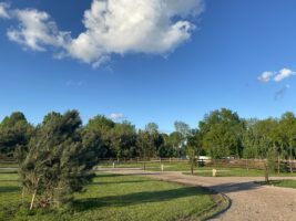Bembom Hoeve