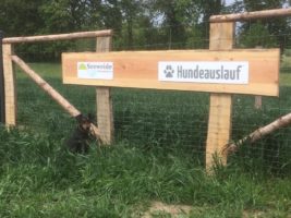 Seeweide Naturcamping Penzlin