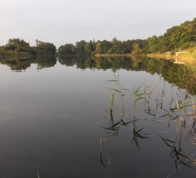 Camping in Schleswig-Holstein (Campingplätze)