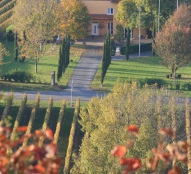 Stellplätze in Rheinland-Pfalz