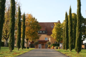 Wohnmobil Stellplätze am Weingut