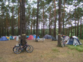 Naturcampingplatz am Springsee