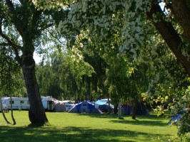 Campingplatz-30.jpg