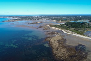 DJI_0261.jpg