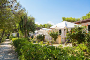 Camping Village Baia Falcone