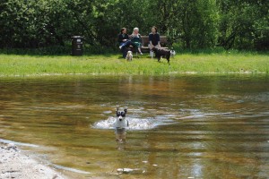 Hoff_Karlsminde_Hundebadesee.jpg