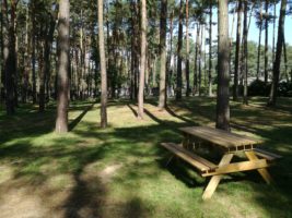 Campingplatz Neue Scheune