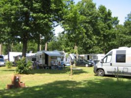 Campingpark Buntspecht