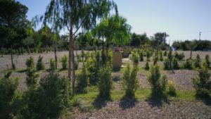 Triscell – Area Attrezzata e Area Sosta Camper