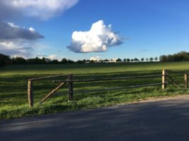 Seeweide Naturcamping Penzlin