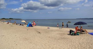IMG_4957.jpg