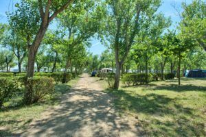 Camping & Bungalows Playa Brava