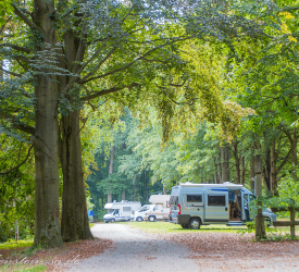 Camping in Sachsen (Campingplätze)
