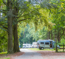 _MG_0790 Camping in Sachsen (Campingplätze)