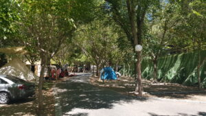 Camping El Pino