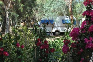 Camping Village Baia Falcone