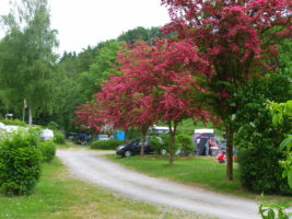 Terrassencamping Schlierbach