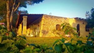 AGRICAMPEGGIO ZIO ZAC SALENTO
