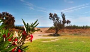 CAMPING AMFORA