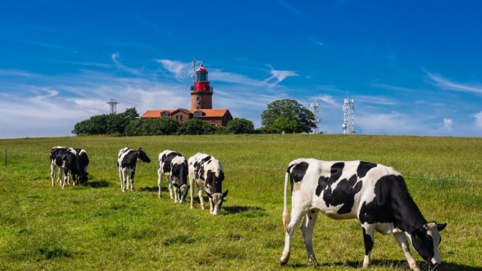 Camping Ostsee Leuchtturm