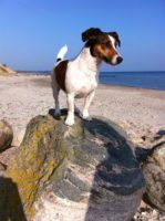 Ostseecampingplatz Familie Heide an der Eckernförder Bucht