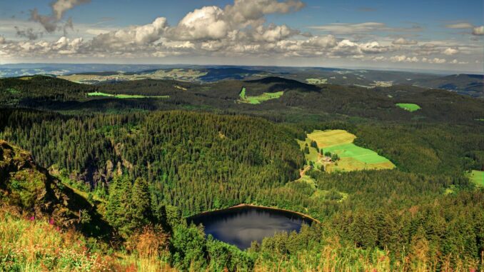 Schwarzwald Camping