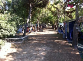 Camping Village Baia Falcone