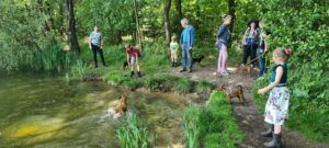 Minicamping Aelderveen