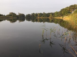 Angelsee-Ostseecamp-Lehmberg-Ostsee-Waabs-Urlaub-Angeln.jpg