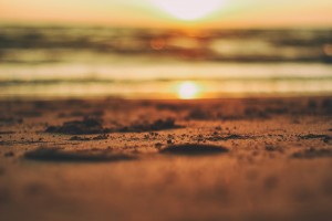 Dauerstellplatz-Ostseecamp-Lehmberg-Ostsee-Waabs-Urlaub-Angeln.jpg